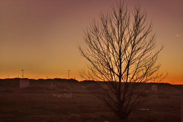 Cielo al atardecer en el mundo rural