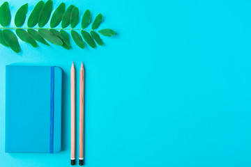 Organizer pencils twig of house plant on blue tabletop background. Creative minimalist flat lay...