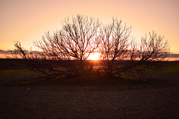 Cielo al atardecer en el mundo rural