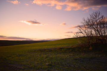 Cielo al atardecer en el mundo rural
