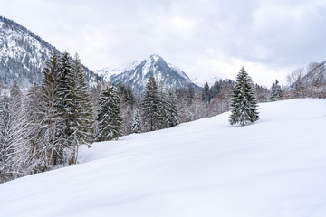 Snow covered landscape near Oberstdorf, Bavaria, Germany.