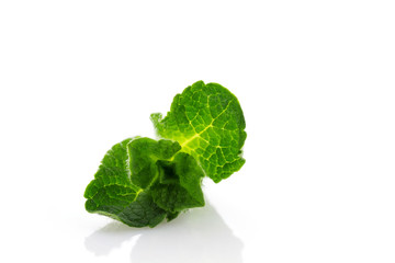 Fresh and aromatic mint leaves close up