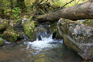 Naklejka na ściany i meble Mountain river in the autumn forest.