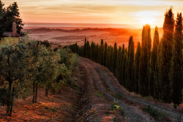 Fototapeta na wymiar Tuscany, landscape, sunset, travel, nature
