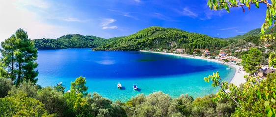 Küchenrückwand glas motiv Best beaches of Skopelos - beautiful Panormos bay. Sporades island of Greece © Freesurf