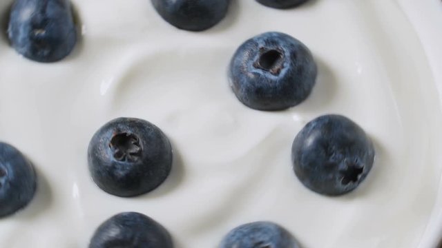 Closeup Blueberries in natural yogurt rotating.