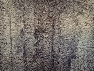 texture of wall