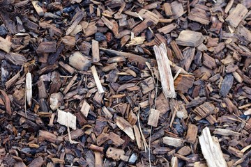 A close view of the wood chips of the mulch.
