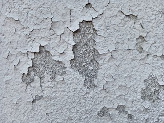 texture of old wall