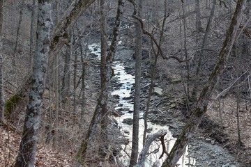 Obraz premium A view of the creek in the forest though the tree branches.