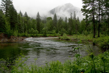 Osinovka river in the foothills of the Khamar-Daban ridge The river Osinovka in a dull rainy morning on a background of mountains of the Khamar-Daban 5 km from its confluence into lake Baikal