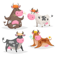 Cute different cows set. Standing, lying, relaxing and meditation poses. Chews green grass. Cartoon kid design style. Cheerful farm animals vector illustrations isolated on white background.