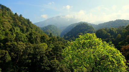 Blick von Hängebrücke über tropischen Regenwald mit Bergen, blauem Himmel und Wolken in Indonesien