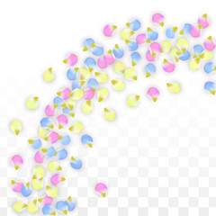 Vector Realistic Colorful Petals Falling on Transparent Background.  Spring Romantic Flowers Illustration. Flying Petals. Sakura Spa Design. Blossom Confetti. Design Elements for Wedding Decoration.