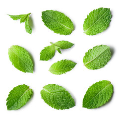 Rich collection of fresh mint leaves, isolated on white background