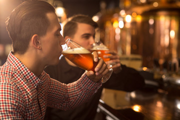 Male clients of bar drinking beer with closed eyes. Men holding glasses in hands. Friends spending weekend in brewery or beer house, tasting alcohol drinks and beverages.