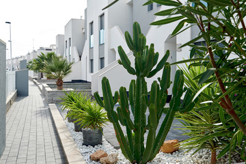 Modern new townhouses in Torrevieja, Spain