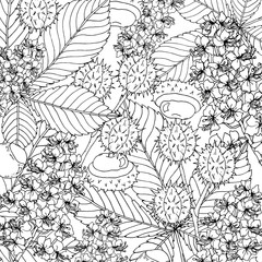 Doodle floral chestnut background in vector with doodles black and white coloring page