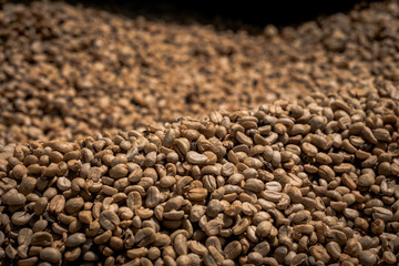 Many raw coffee beans are waiting to be cooked.