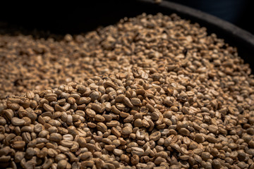 Many raw coffee beans are waiting to be cooked.