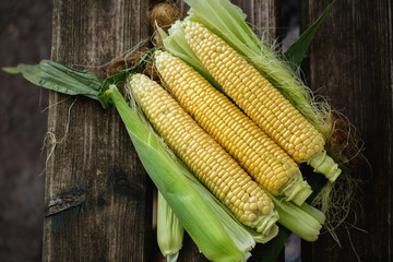 corn with leaves