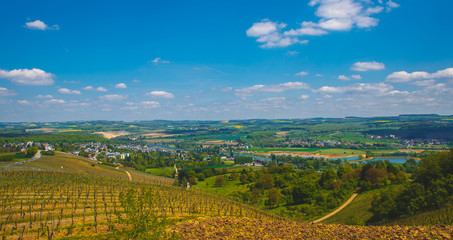 Fields of vineyards in Luxembourg on a Sunny day
