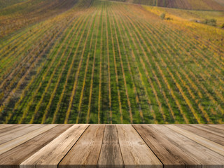 Vineyards with wooden table for product montage or display