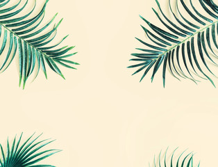 Fototapeta na wymiar Llayout made of green tropical leaves. Minimal summer exotic concept with copy space.