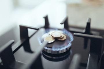 Obraz na płótnie Canvas Cost of gas, concept crisis. Gas stove with coins in flame. The cost of methane. Gas coins more expensive. Gas Payment.