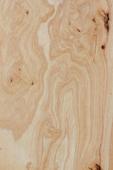 Abstract light wood panel texture background