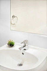 White sink with silver tap and green plant