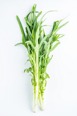 Fresh bitter wheat on white background