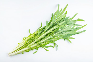 Fresh bitter wheat on white background