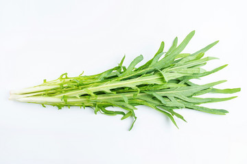 Fresh bitter wheat on white background