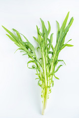 a fresh bitter wheat