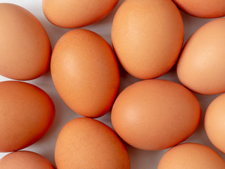 Brown chicken eggs