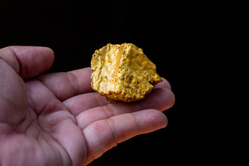 pure gold ore found in the mine is in the hand