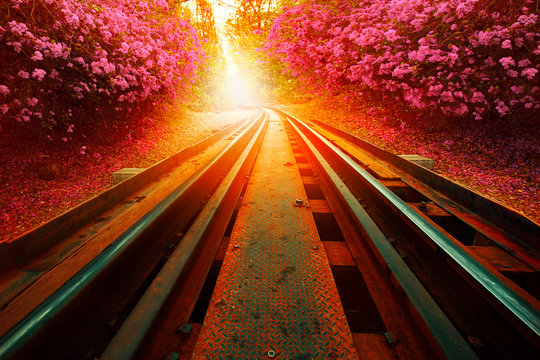 old raiway track and colorful paper flowers blooming along side way