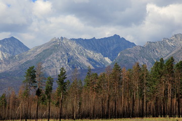 The mountains of the Barguzin mountains, this valley of the Barguzin river Steppe in the floodplain of the Barguzin river, then-birch forest belt, and behind it-the mountains of Barguzin ridge and the