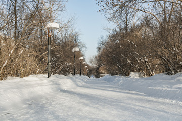 A path with white snow and a group of black and white street lighting lanterns among trees and shrubs without foliage in winter