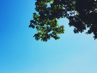 Processed with VSCO with f2 preset