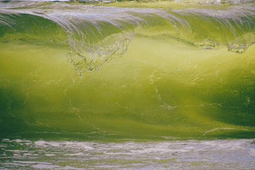 The beauty of the wave.