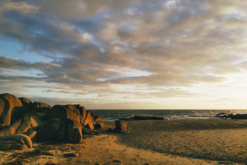 the color of the morning.