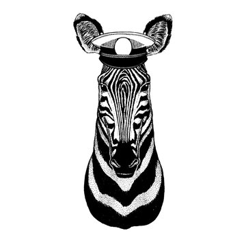 Zebra, horse Hand drawn image for tattoo, emblem, badge, logo, patch, t-shirt