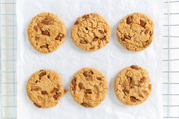 Six pieces of chocolate chip cookies separately on a white background.