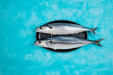 Fresh mackerel  fish in the black cast iron for baking fish on a blue background.