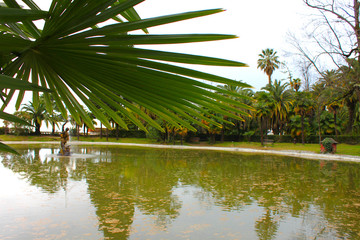 Obraz premium Palm leaf on the background of a tropical park, Gagra, Abkhazia