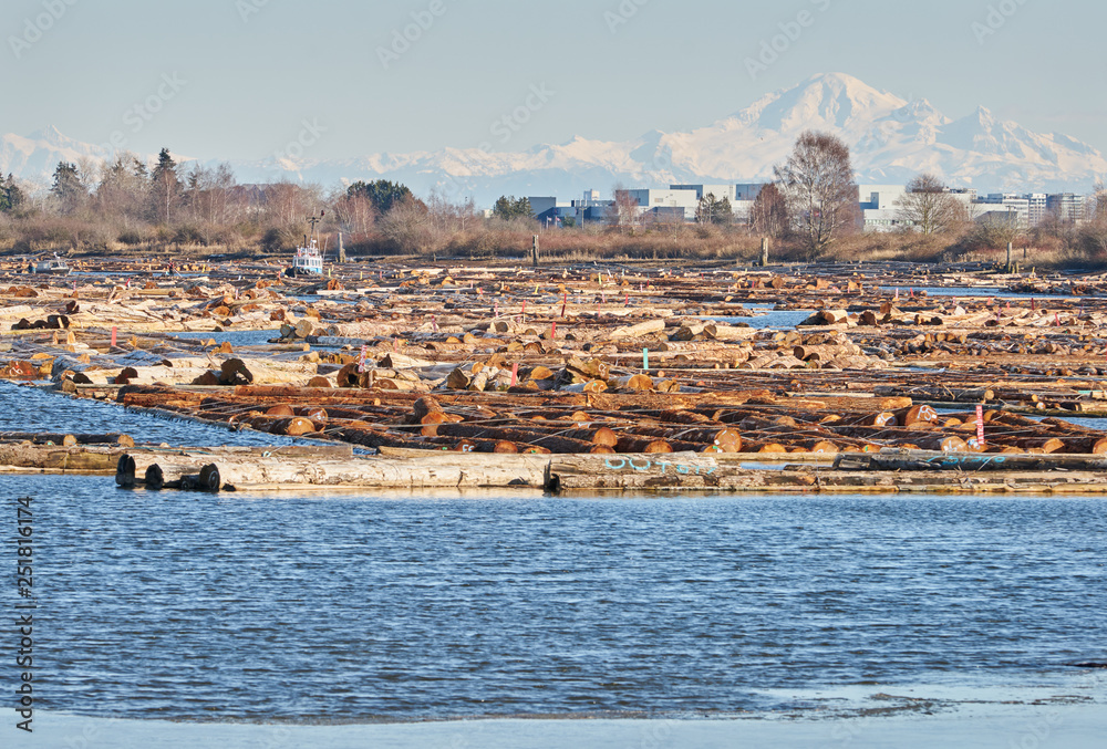 Wall mural booming ground and mt. baker. logbooms in an estuary on the fraser river. vancouver, british columbi