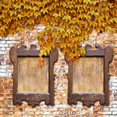 Wooden notice board against a brick wall covered in ivy