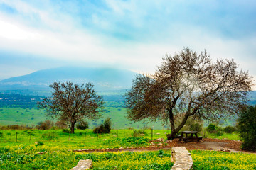 Landscape near Beit Keshet